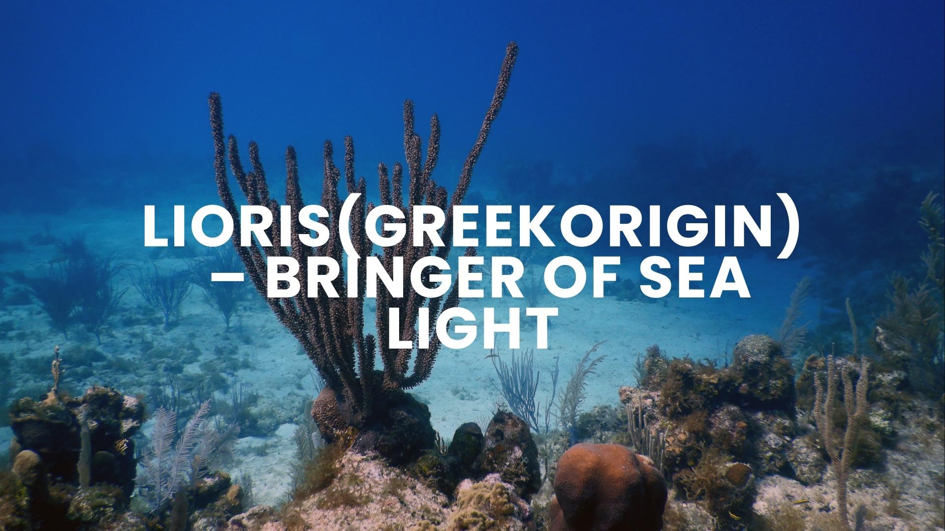 Lioris – (Greek Origin) – Bringer of sea light.