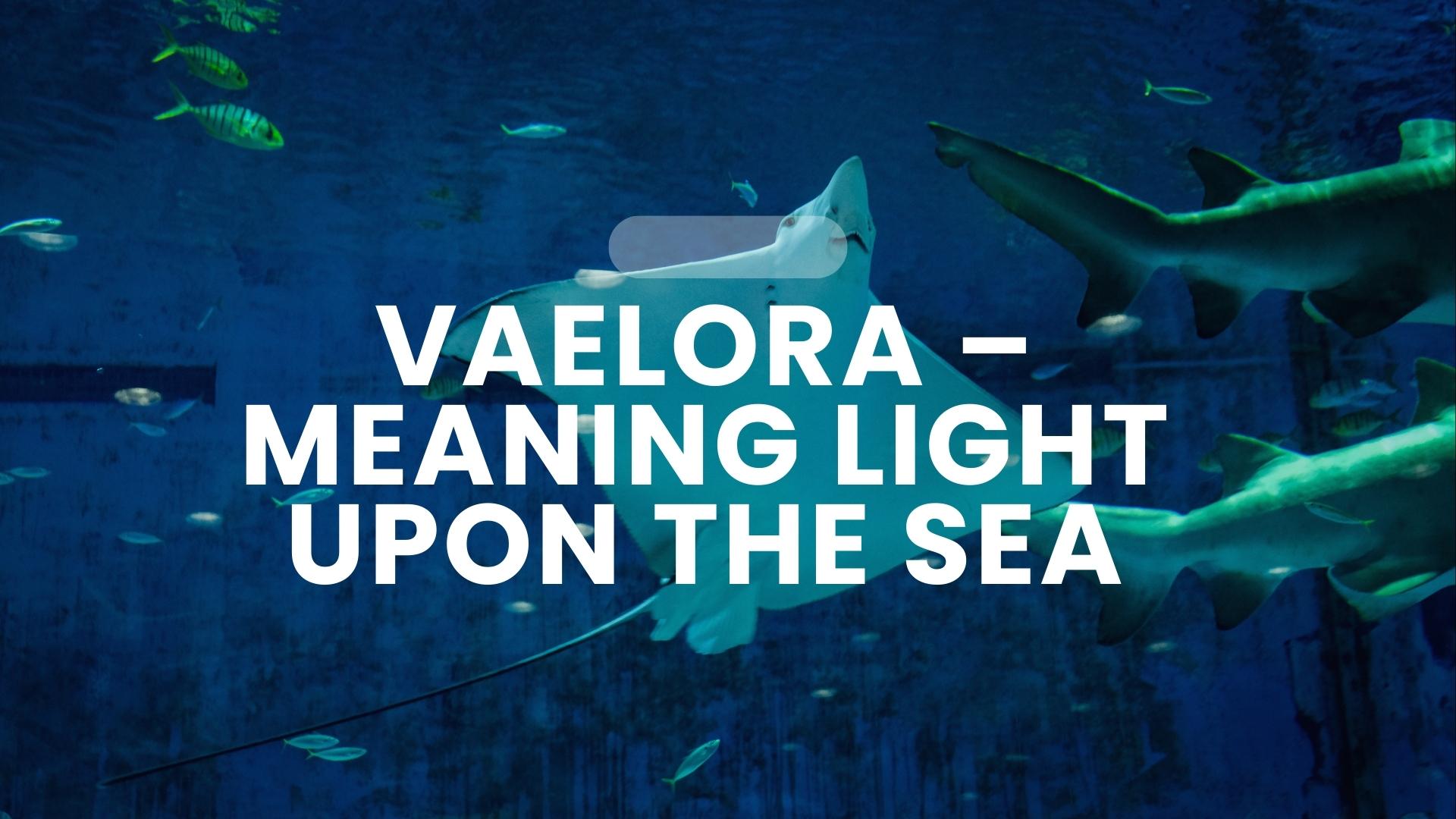 Vaelora – A name inspired by the shimmering tides of a hidden ocean, meaning light upon the sea.