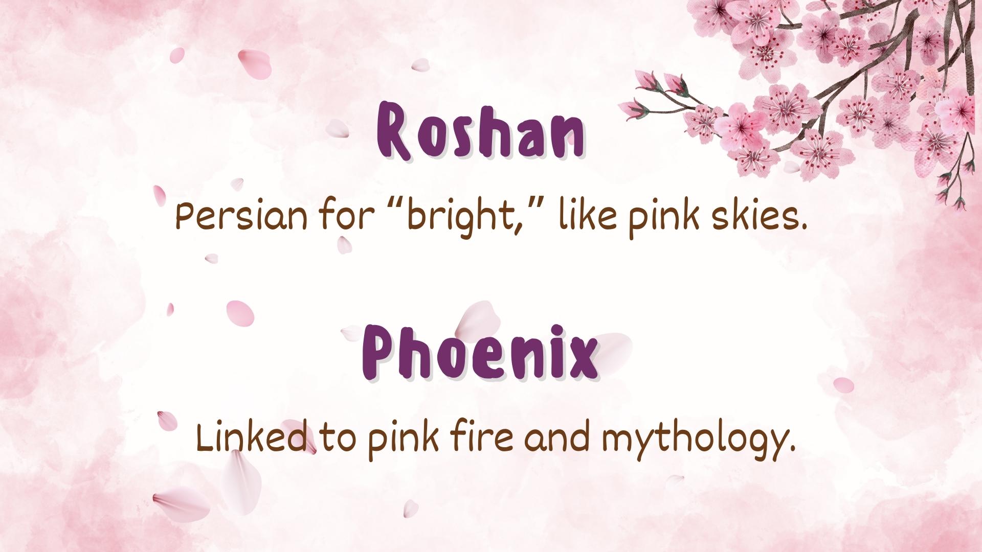 Handsome Boy Names with Pink-Inspired Meanings