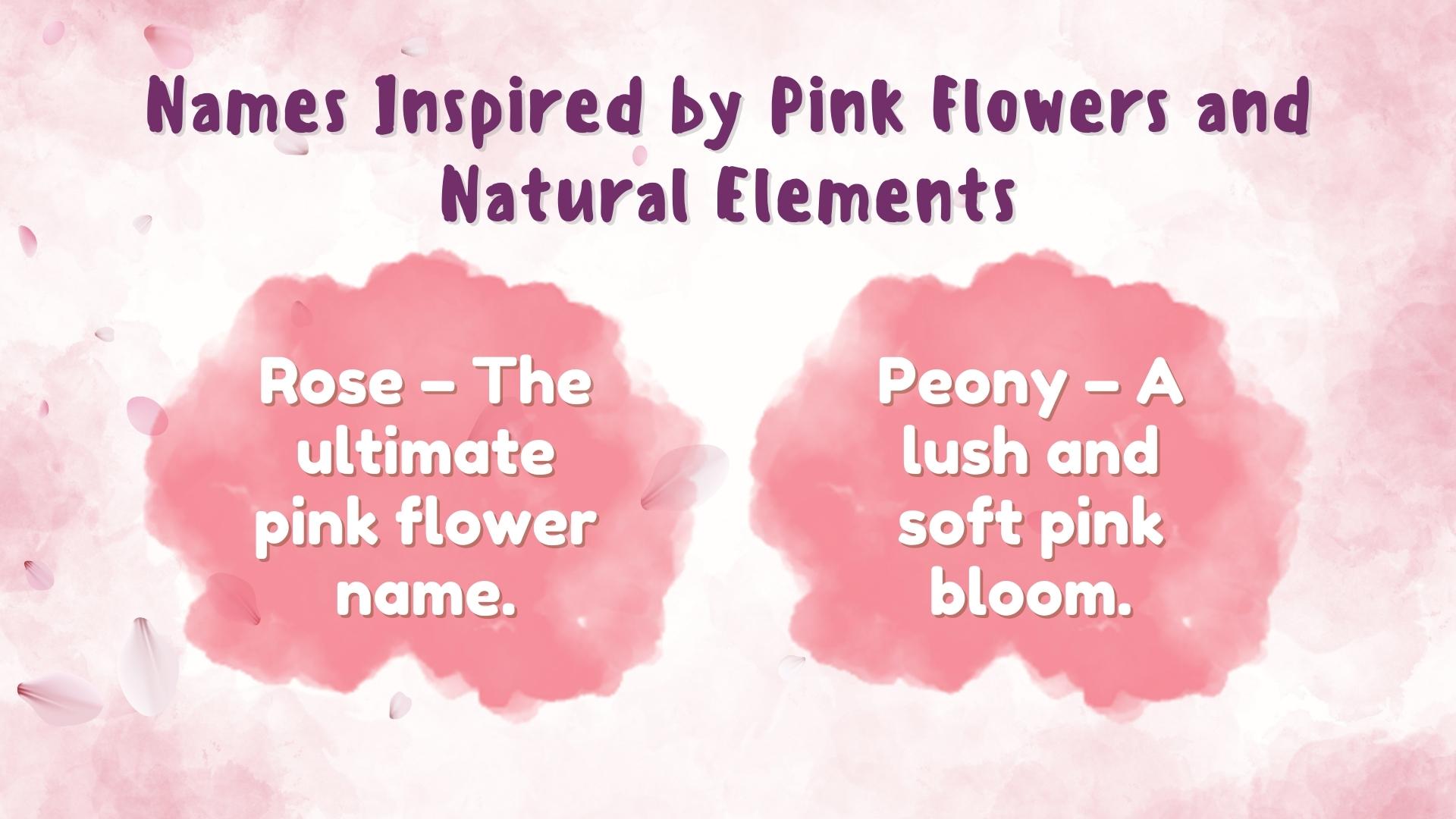 Names Inspired by Pink Flowers and Natural Elements