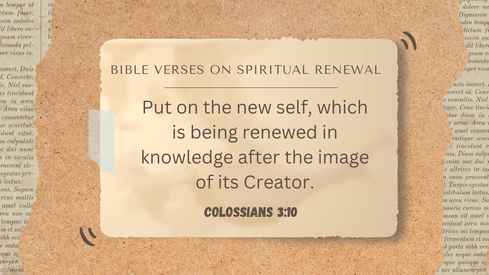 Colossians 3:10 – Put on the new self, which is being renewed in knowledge after the image of its Creator.