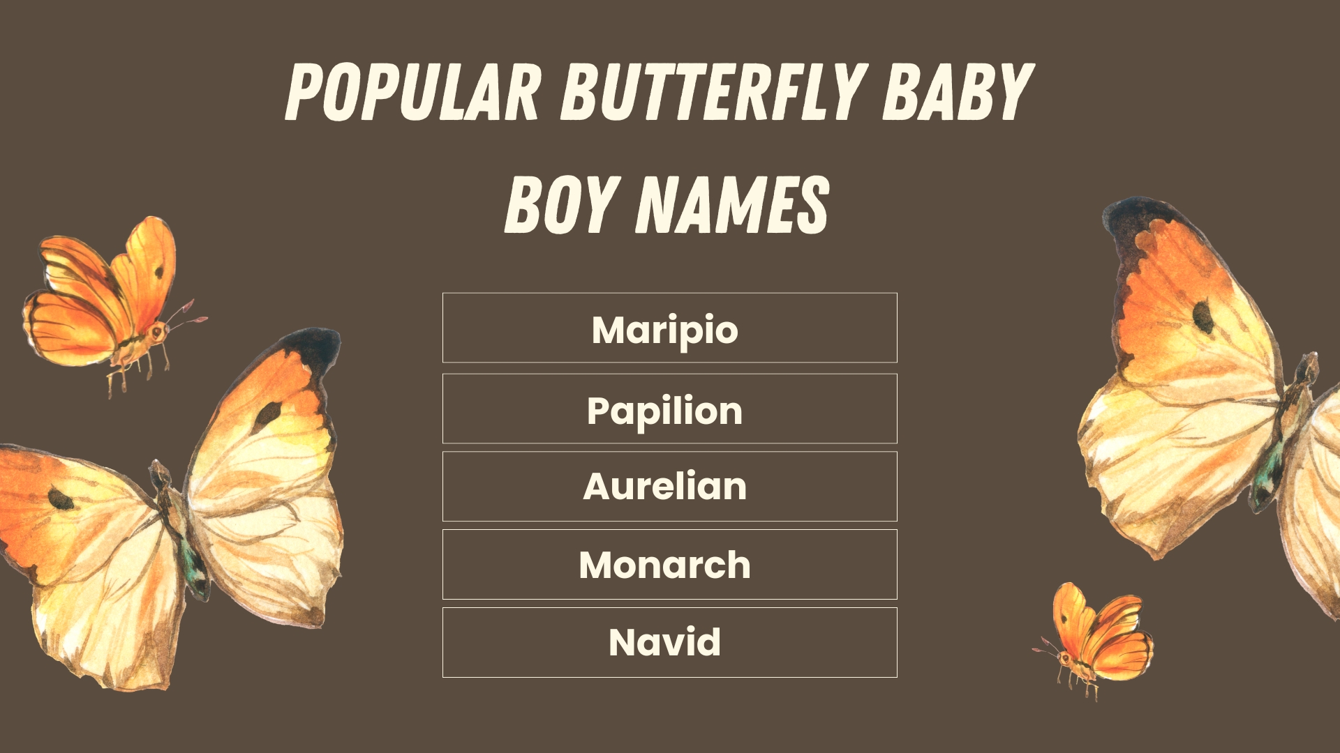 Popular Butterfly Baby Boy Names