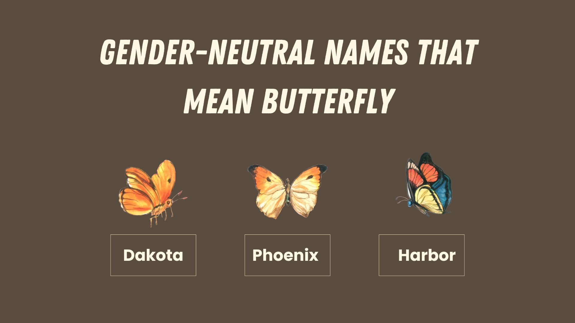 Gender-Neutral Names That Mean Butterfly