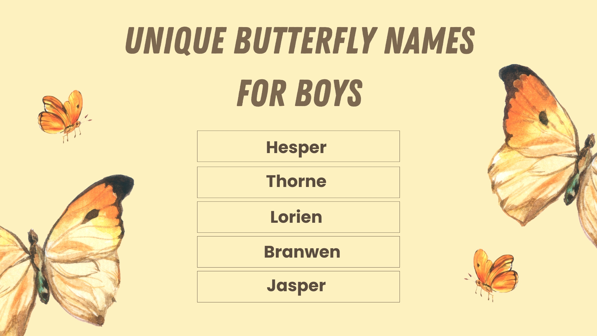 Unique Butterfly Names for Boys