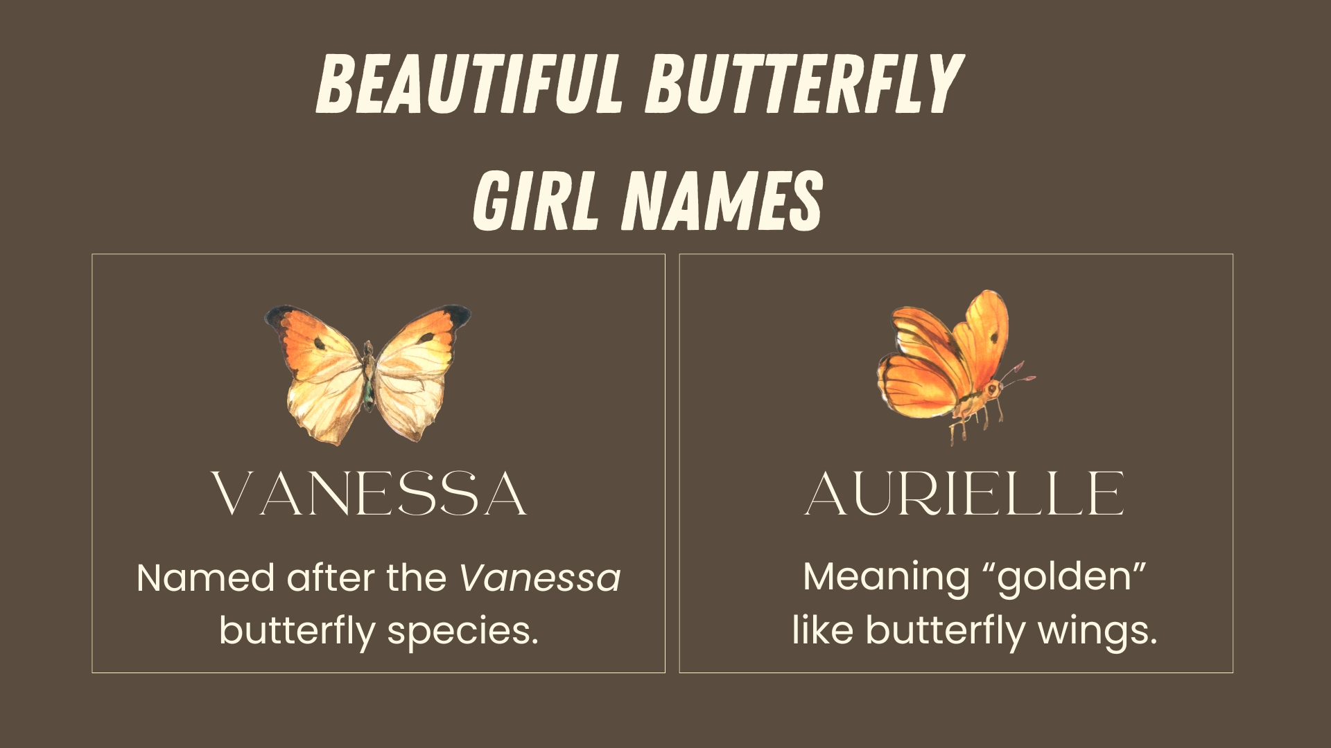 Beautiful Butterfly Girl Names