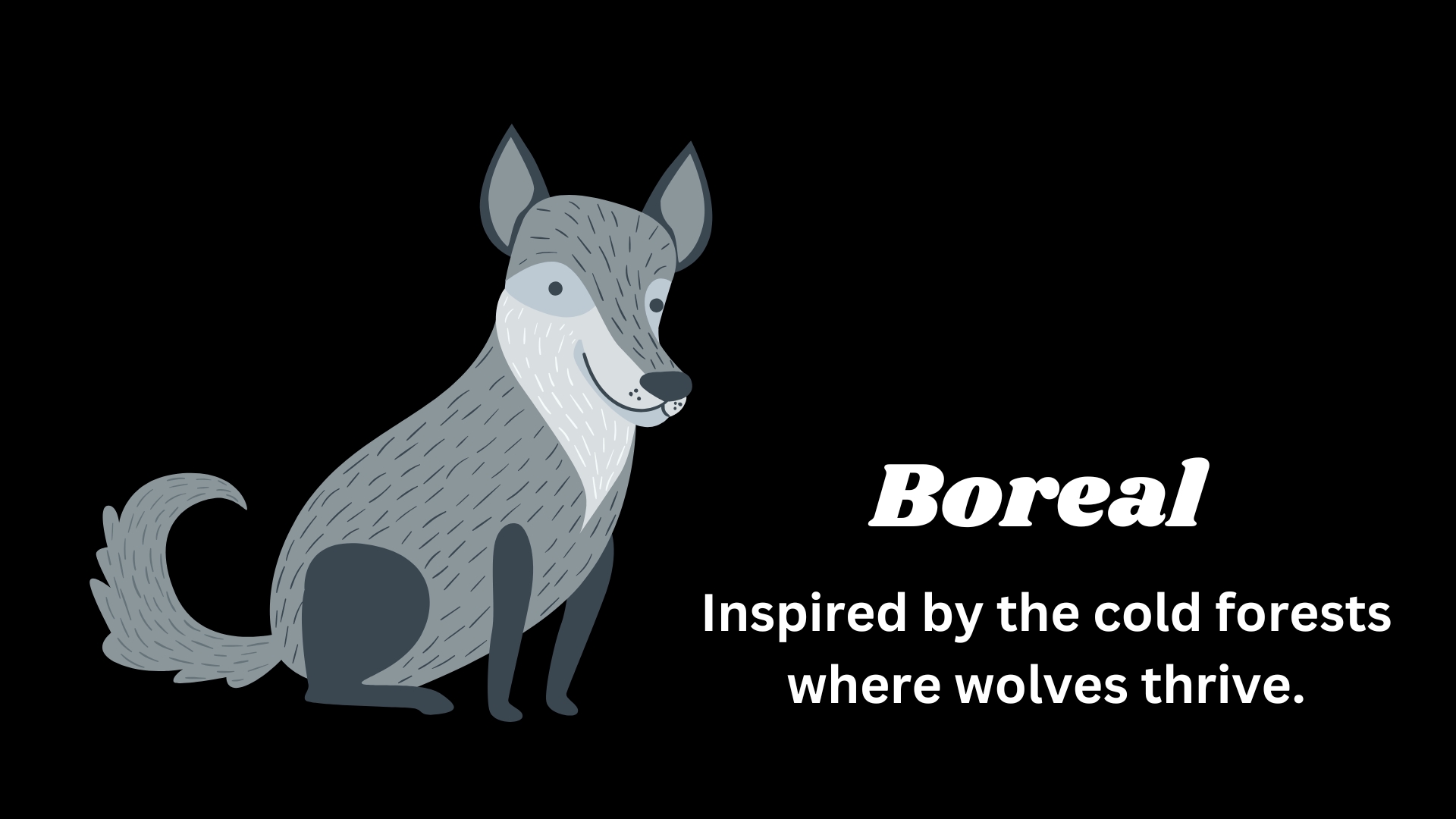 Boreal – Inspired by the cold forests where wolves thrive.