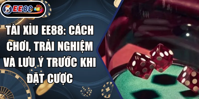 Tài Xỉu EE88: Cách Chơi, Trải Nghiệm Và Lưu Ý Trước Khi Đặt Cược 7 Tài Xỉu EE88: Cách Chơi, Trải Nghiệm Và Lưu Ý Trước Khi Đặt Cược