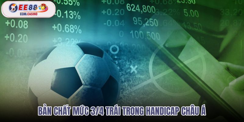ban-chat-muc-34-trai-trong-handicap-chau-a ban-chat-muc-34-trai-trong-handicap-chau-a