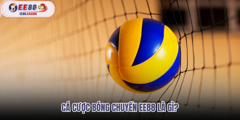 ca-cuoc-bong-chuyen-ee88-la-gi