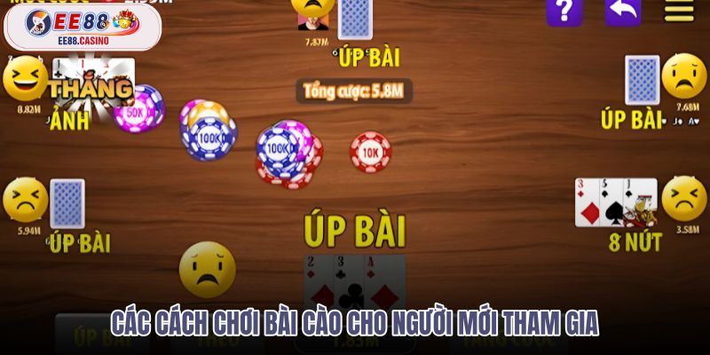 cac-cach-choi-bai-cao-cho-nguoi-moi-tham-gia
