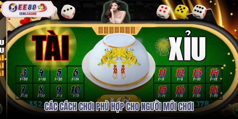 cac-cach-choi-phu-hop-cho-nguoi-moi-choi