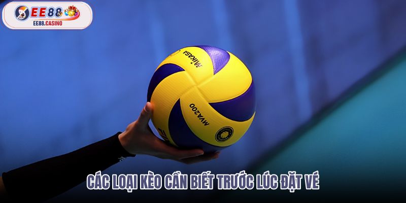 cac-loai-keo-can-biet-truoc-luc-dat-ve