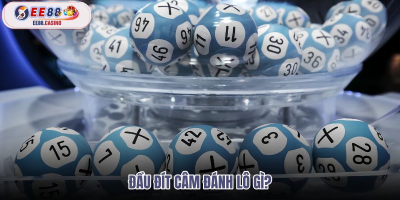 Bảng tra đầu đít câm theo từng vị trí vắng