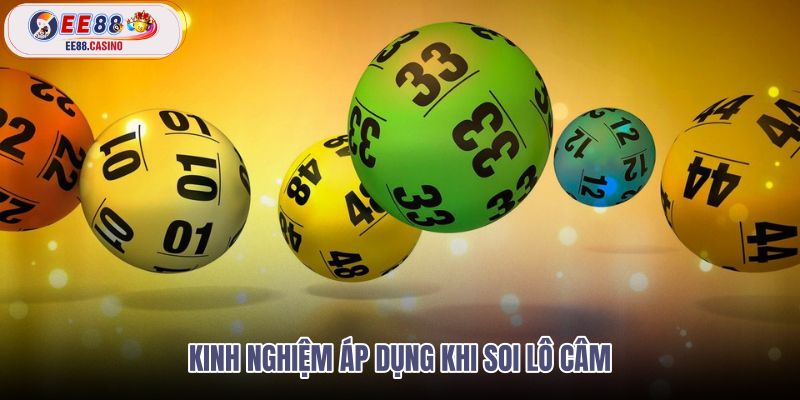 kinh-nghiem-ap-dung-khi-soi-lo-cam