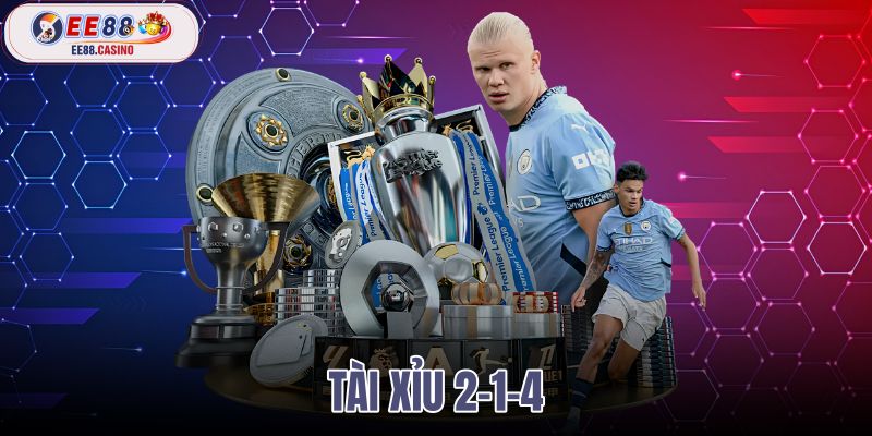 tài xỉu 2-1-4